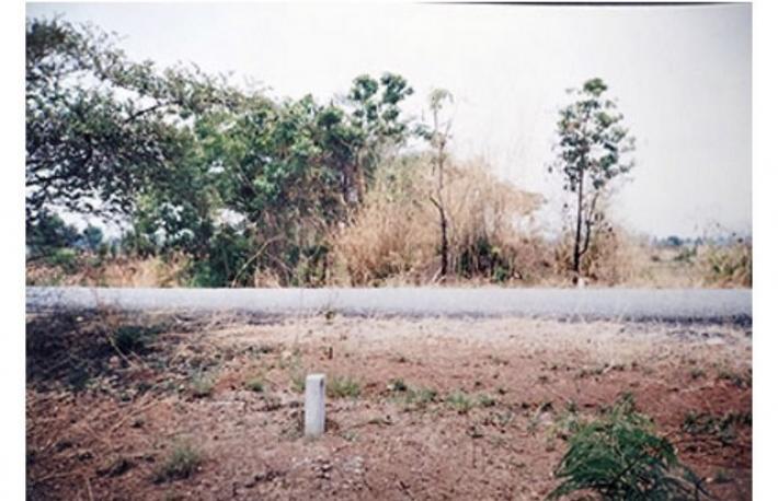 ขายที่ดินสวนเกษตร 4 ไร่ อ.ชนแดน จ.เพชรบุรี ติดฟาร์มเพชรบูรณ์  ร ที่ดินติดบ่อน้ำใหญ่และถนนซอย 