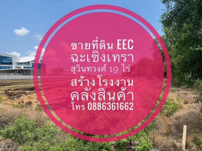 For  Sale Land EEC in Chachoengsao,Thailand ขายที่ดิน EEC ฉะเชิงเทรา  สร้างโรงงาน คลังสินค้าฯ 